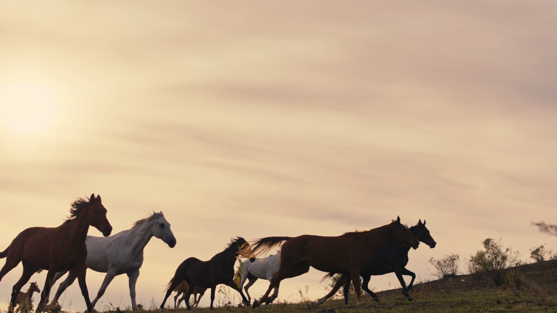 03-serenade_Clemens-Tschurtschenthaler-Still