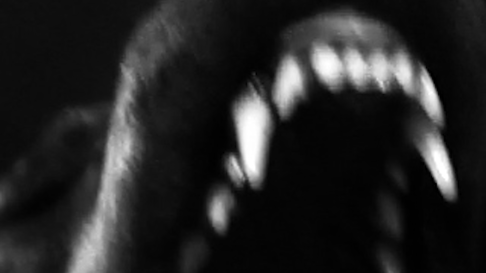 06-serenade_Clemens-Tschurtschenthaler-Still