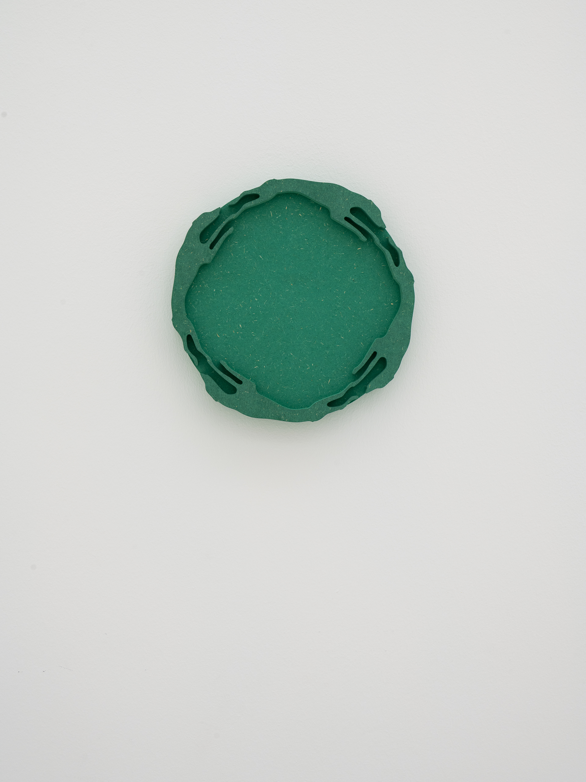 fig18 – Clemens Tschurtschenthaler; Tondo Dog Race; 2025; Kunstraum Remise, Bludenz (AT); exhibition view ©christa-engstler.at