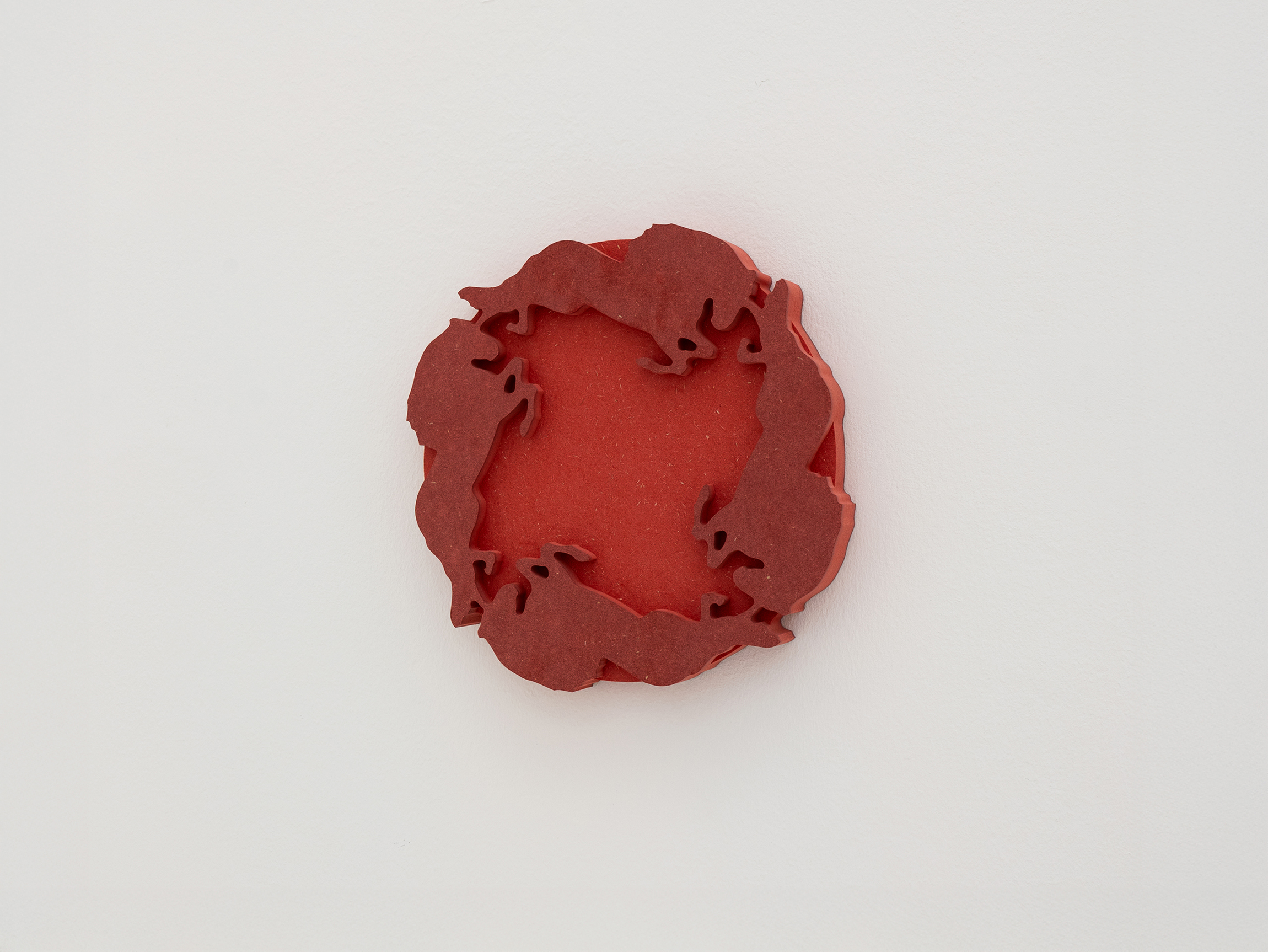 fig6 – Clemens Tschurtschenthaler; Tondo Reins; 2025; Kunstraum Remise, Bludenz (AT); exhibition view ©christa-engstler.at